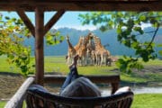 Zicht op het wild en giraffes vanaf je terras bij het vakantiehuis
