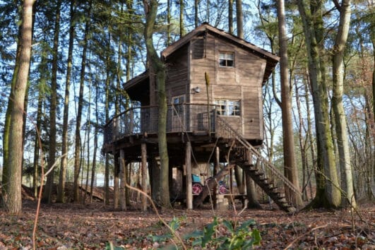 Luxe boomhut in een bos