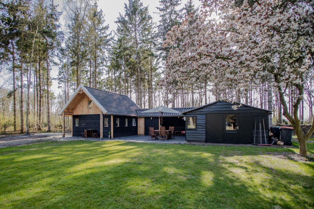 Een vakantiehuisje in het bos in Rheezerveen