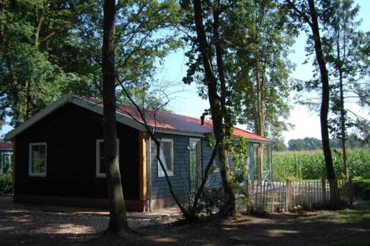 Huisje in het bos in Ruurlo in de Achterhoek