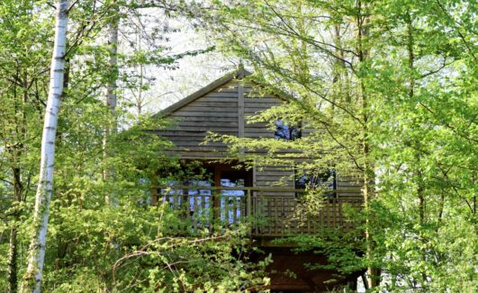 Bijzonder overnachten in Boomhut in Frankrijk