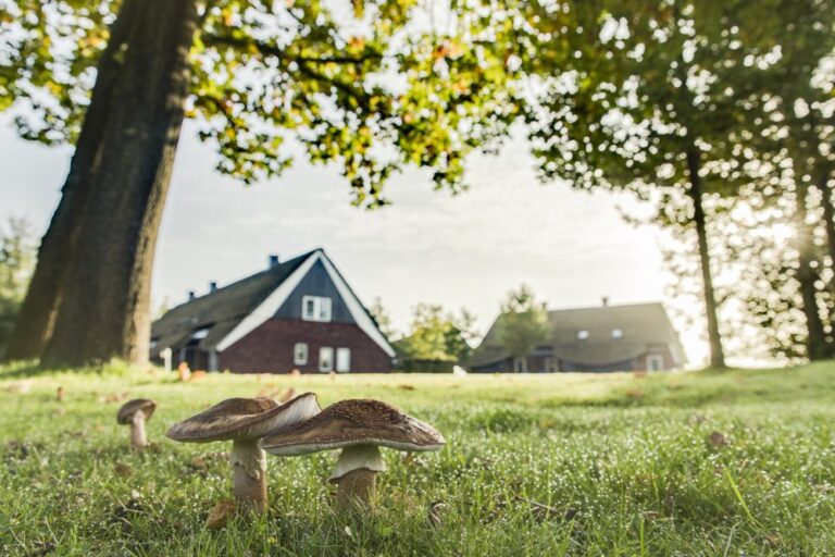 Foto van Mooi Zutendaal