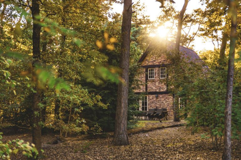 Bosrijk – Huisje in golden hour